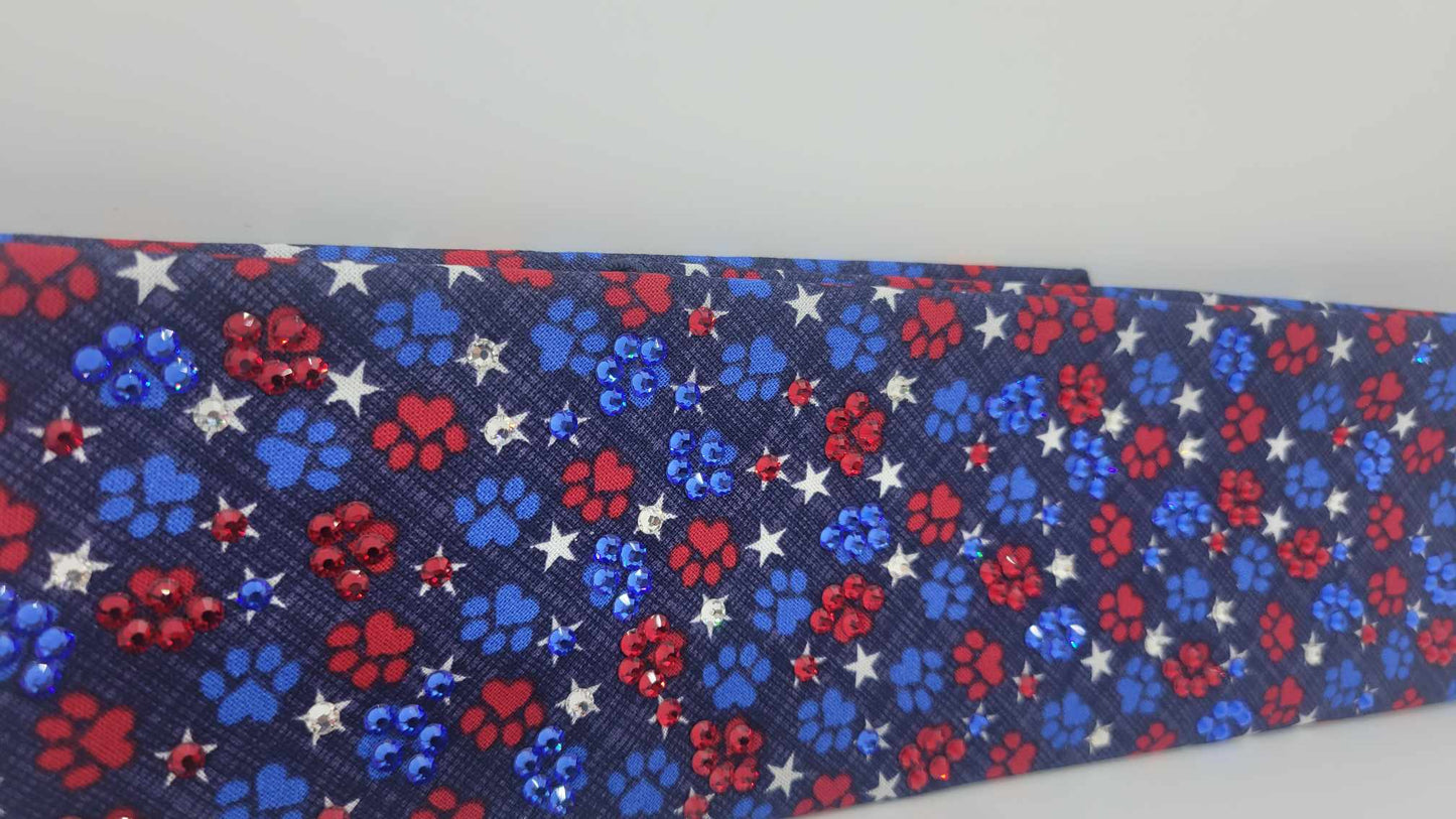 LeeAnnette Puppy Paws with Red, Blue and Diamond Clear Austrian Crystals (sku4868)