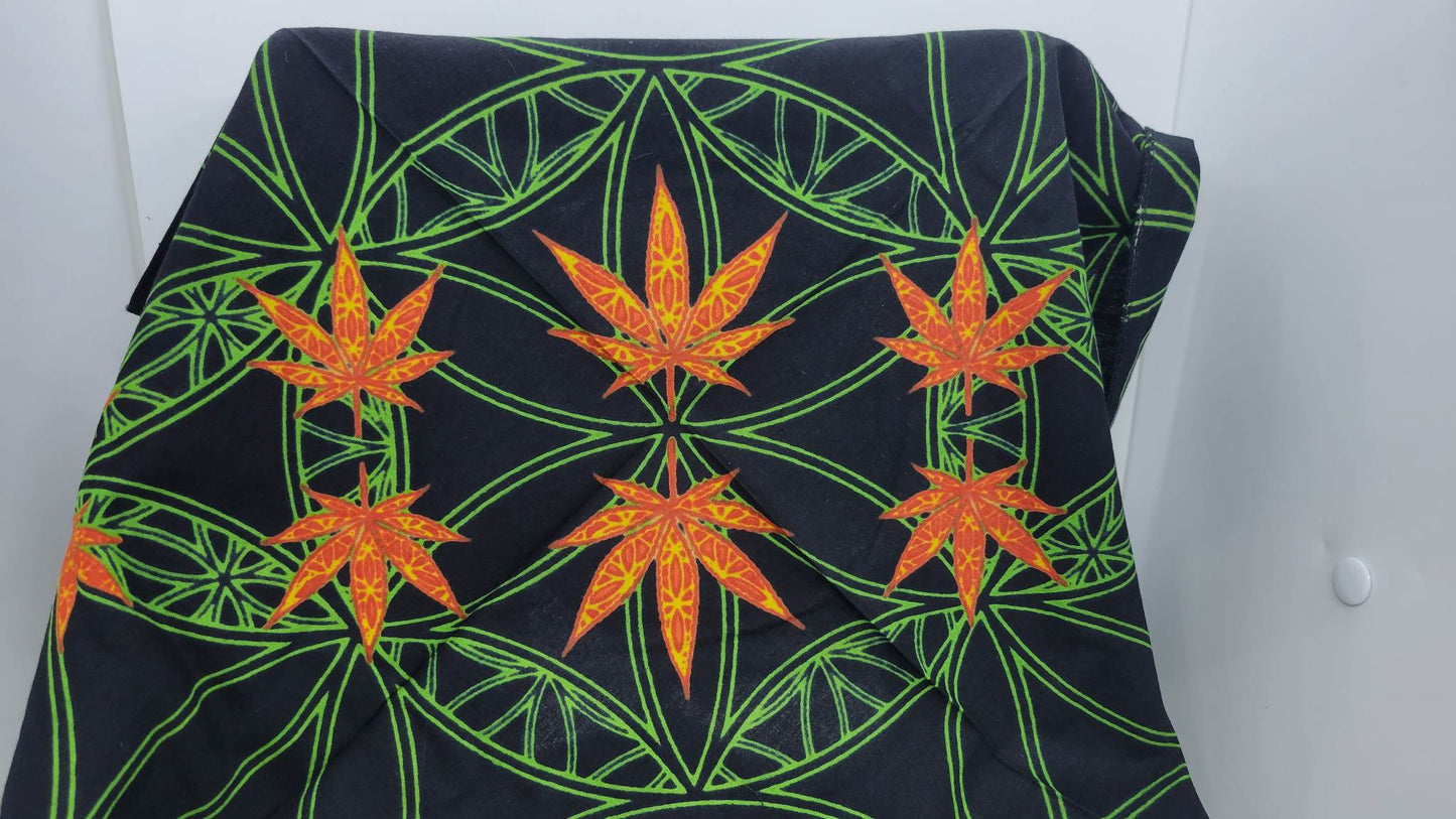Plain Orange Pot on Green Bandana (Sku8246)