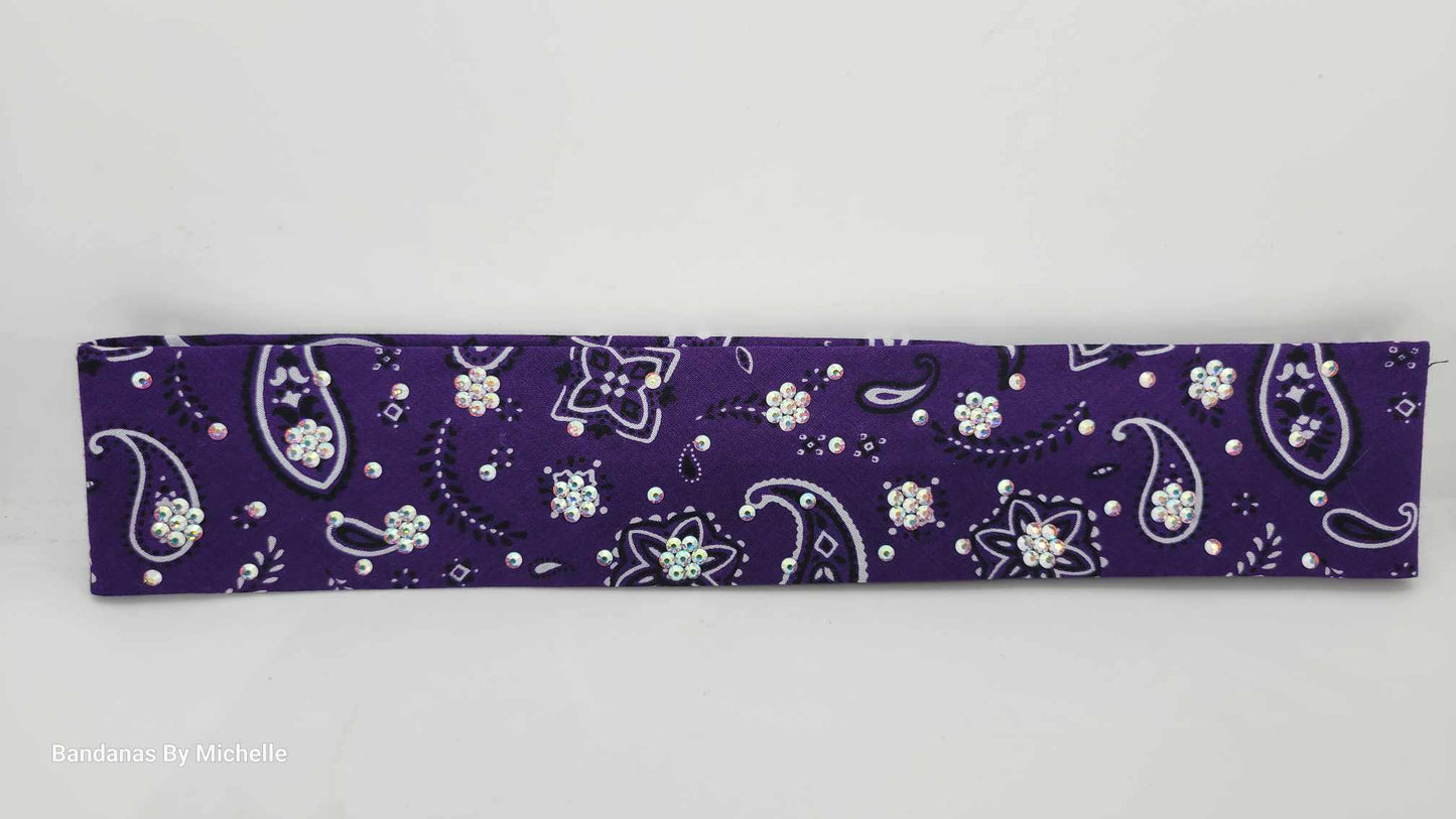 Narrow Purple Scatter Paisley with Aurora Borealis Austrian Crystals (Sku1686)