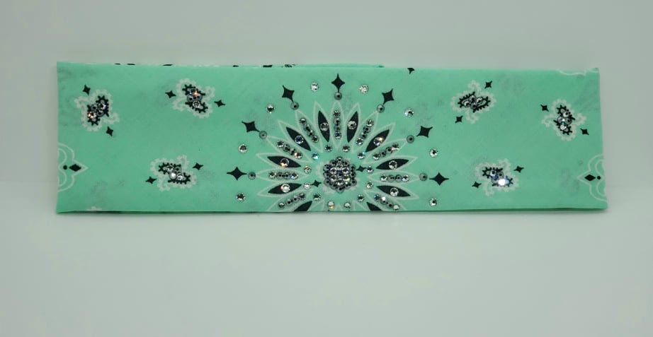 Mint Paisley with Black and Diamond Clear Austrian Crystals (Sku2520)